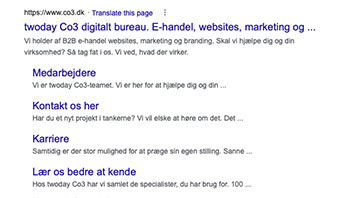 Google SERP snippet